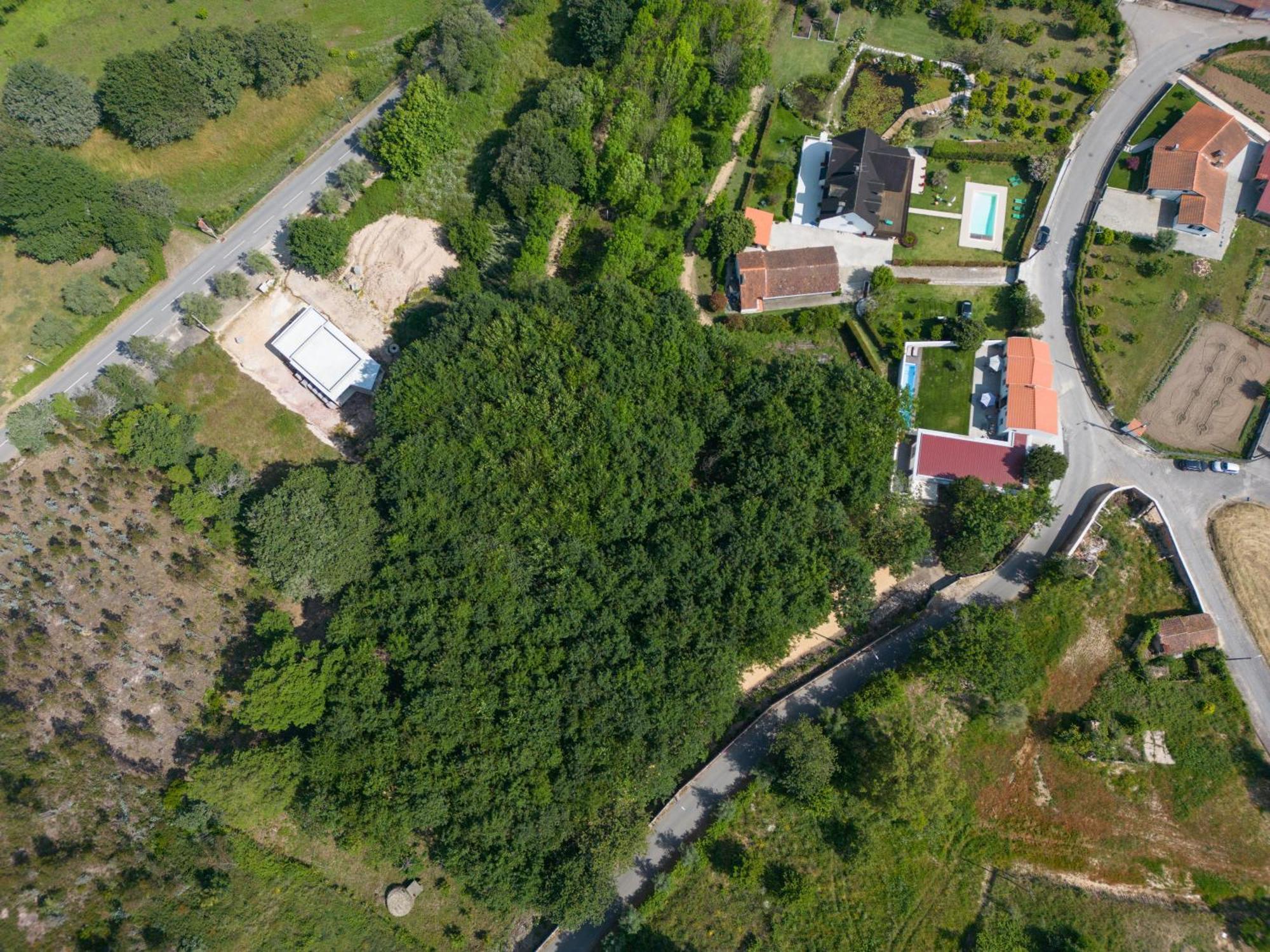 Casa Do Carvalhal - Quinta Do Soldado Villa Alquerubim Kültér fotó